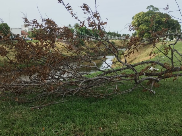 Una expectativa de mucho calor para toda la semana